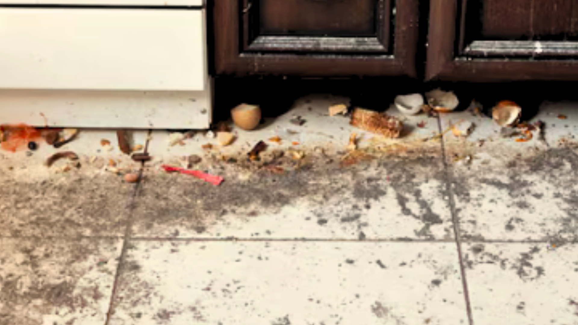 limpieza a fondo de suciedad