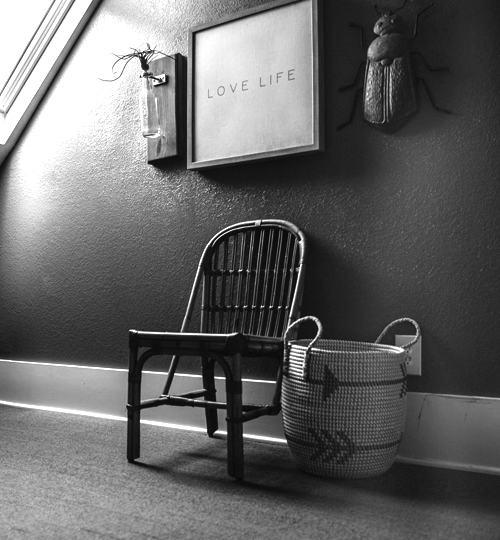 NARA LIMPIEZA A FONDO